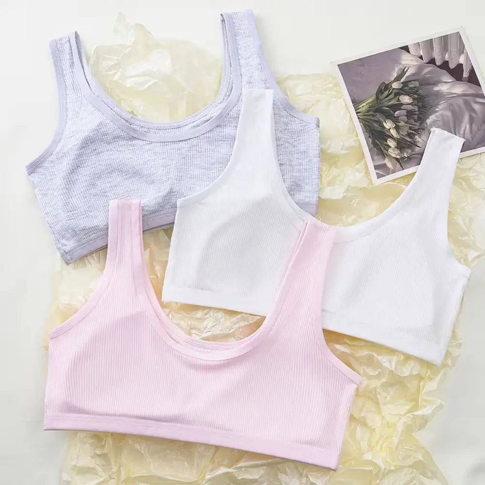 Padded Pack Of 3 Teenage Girls Cotton Training Bra –  Steel-Free Bra, Everyday Comfort