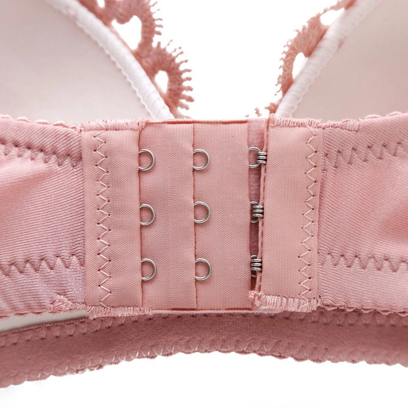 Shopping Wears Bridal Bra Set